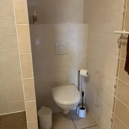 Chez Elodie Habitación en casa particular Pressigny (Haute-Marne)